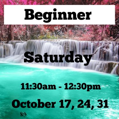 Beginner / Saturday/ October 17,24,31 / 11:30am - 12:30pm
