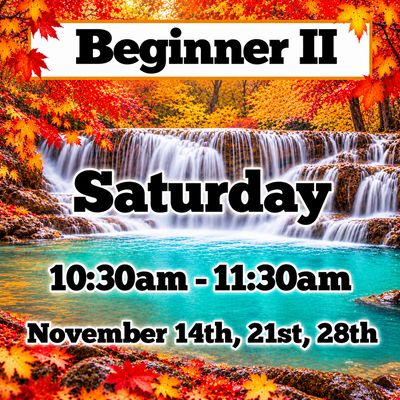 Beginner II / Saturday/ November 14th,21st, 28th/ 10:30am - 11:30am