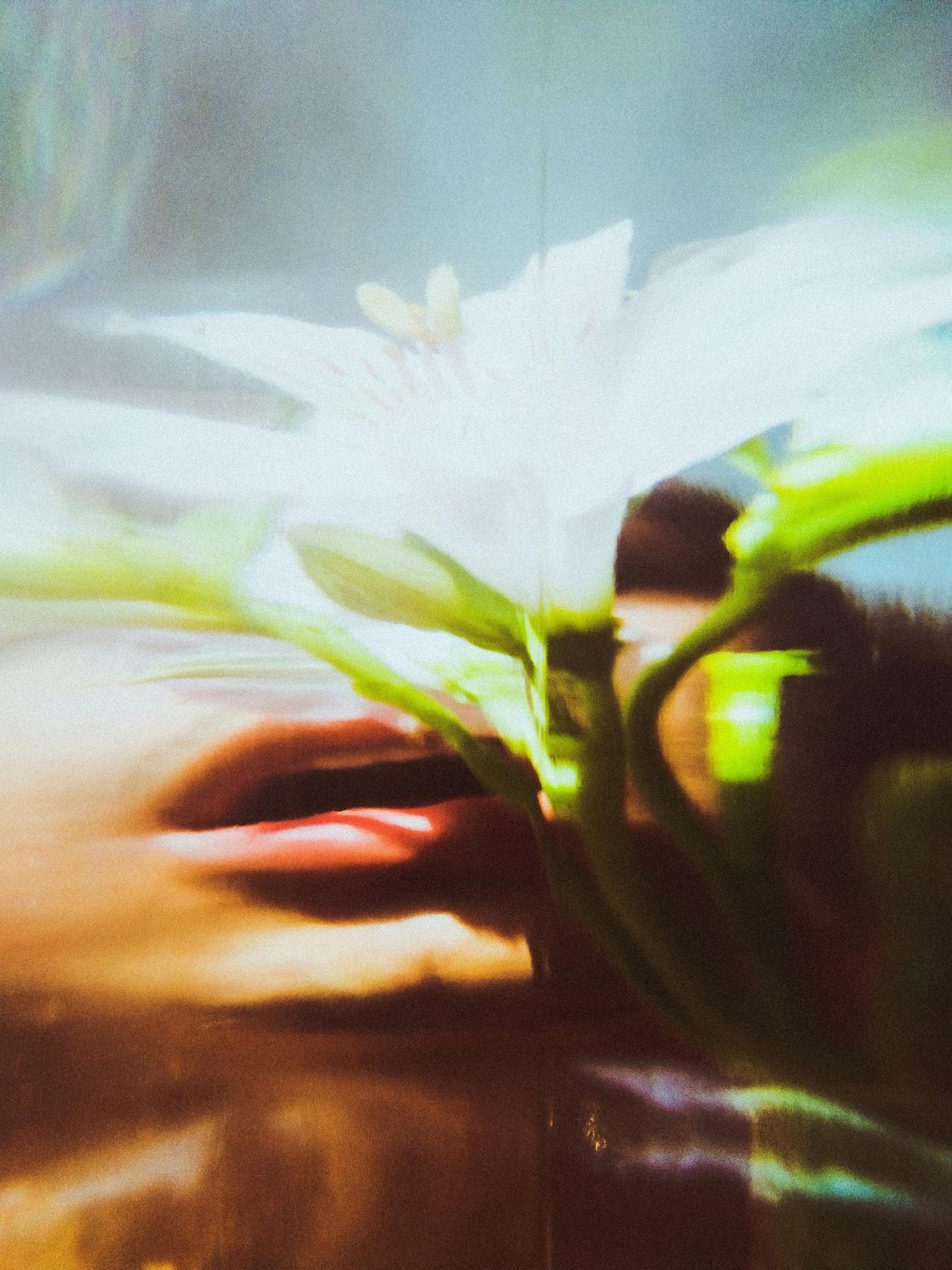 Surreal Art (Sample Product)