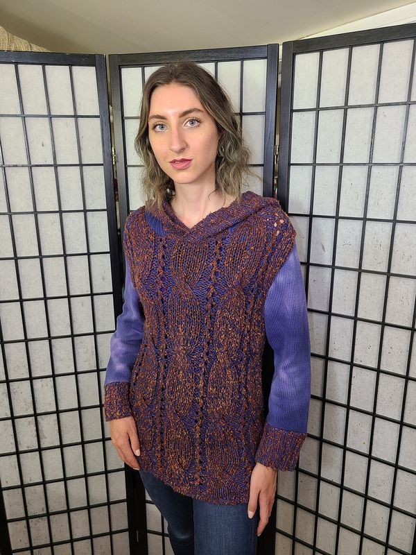 Bejeweled Long Sky-Dye Long-Sleeved Hooded Pullover in Red Spring