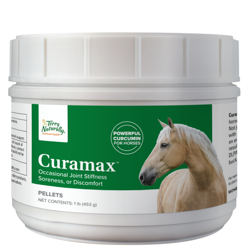 Curamax Horse