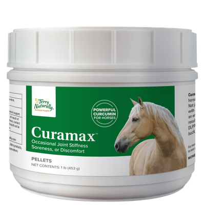 Curamax Horse