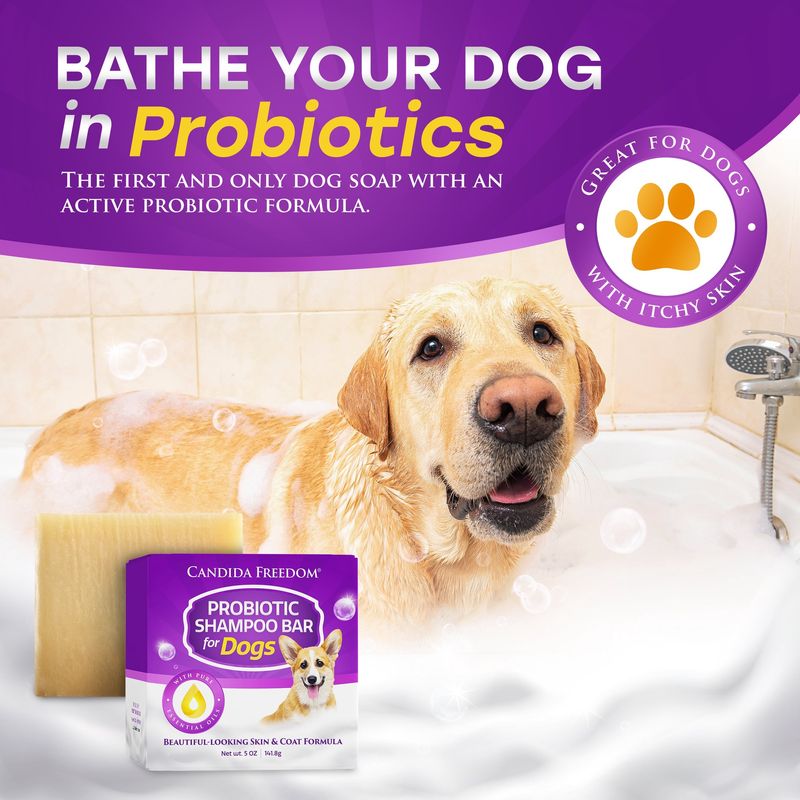 Candida Freedom Probioc Shampoo Bar For Dogs
