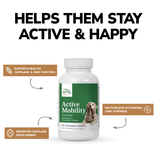 Active Mobility Canine