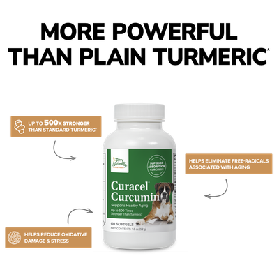 Curacel Curcumin