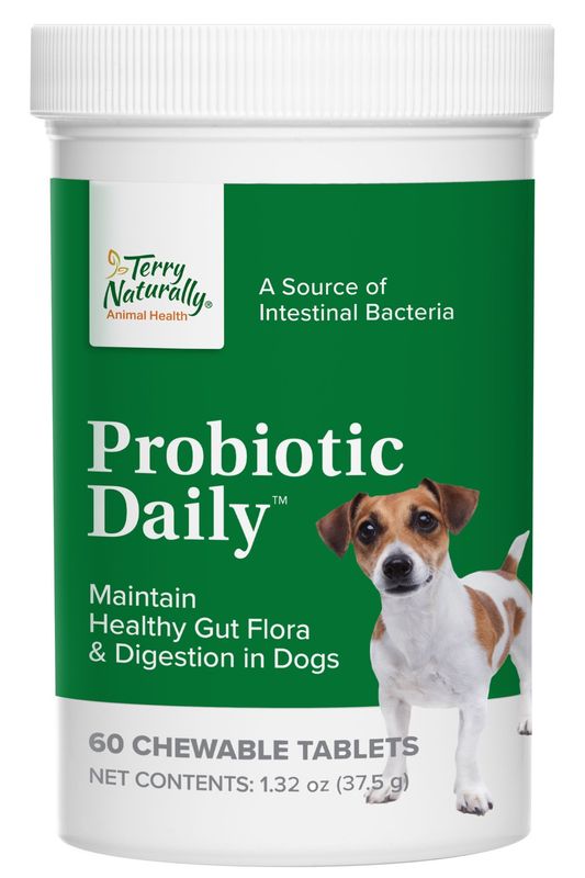 Probiotic Daily 60 Chew Tab Canine