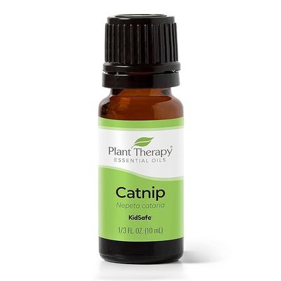 PT Catnip 10ml