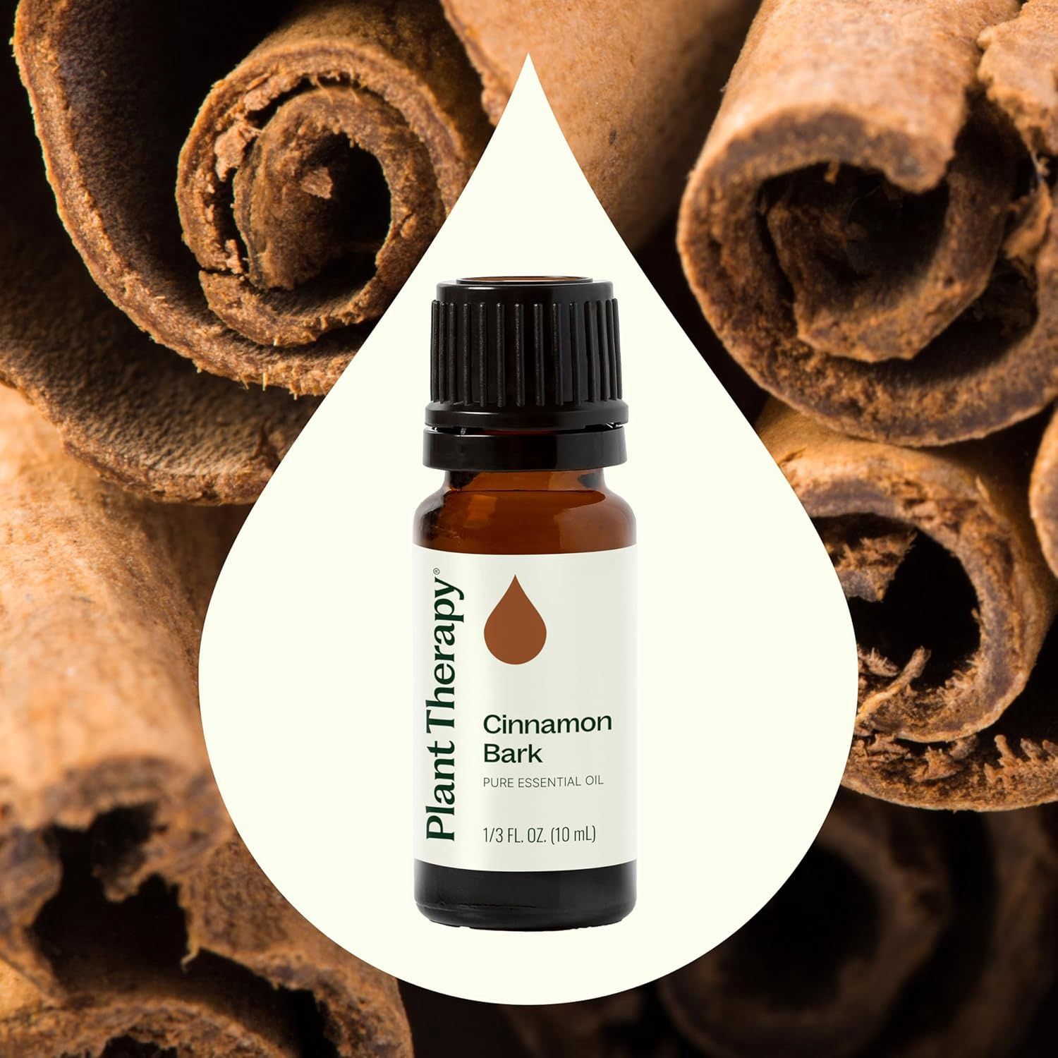PT Cinnamon Bark