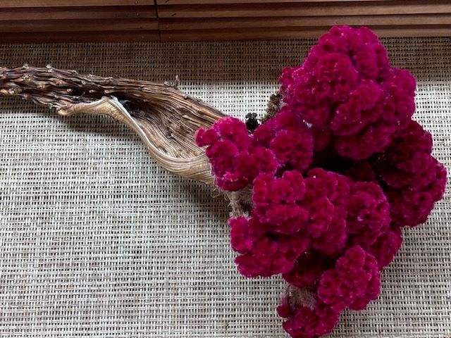 Dried Flowers – Shop – Forbes Farmstead Market