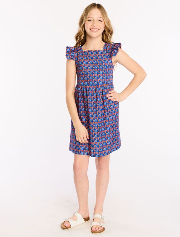 Girls Twill Flutter Sleeve Dress