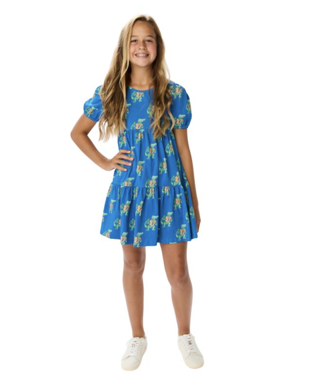 Florida Gators Girls Tiered Dress