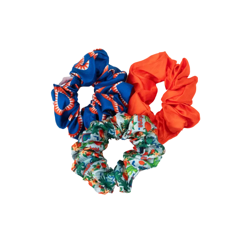 Florida Gators Scrunchie Set