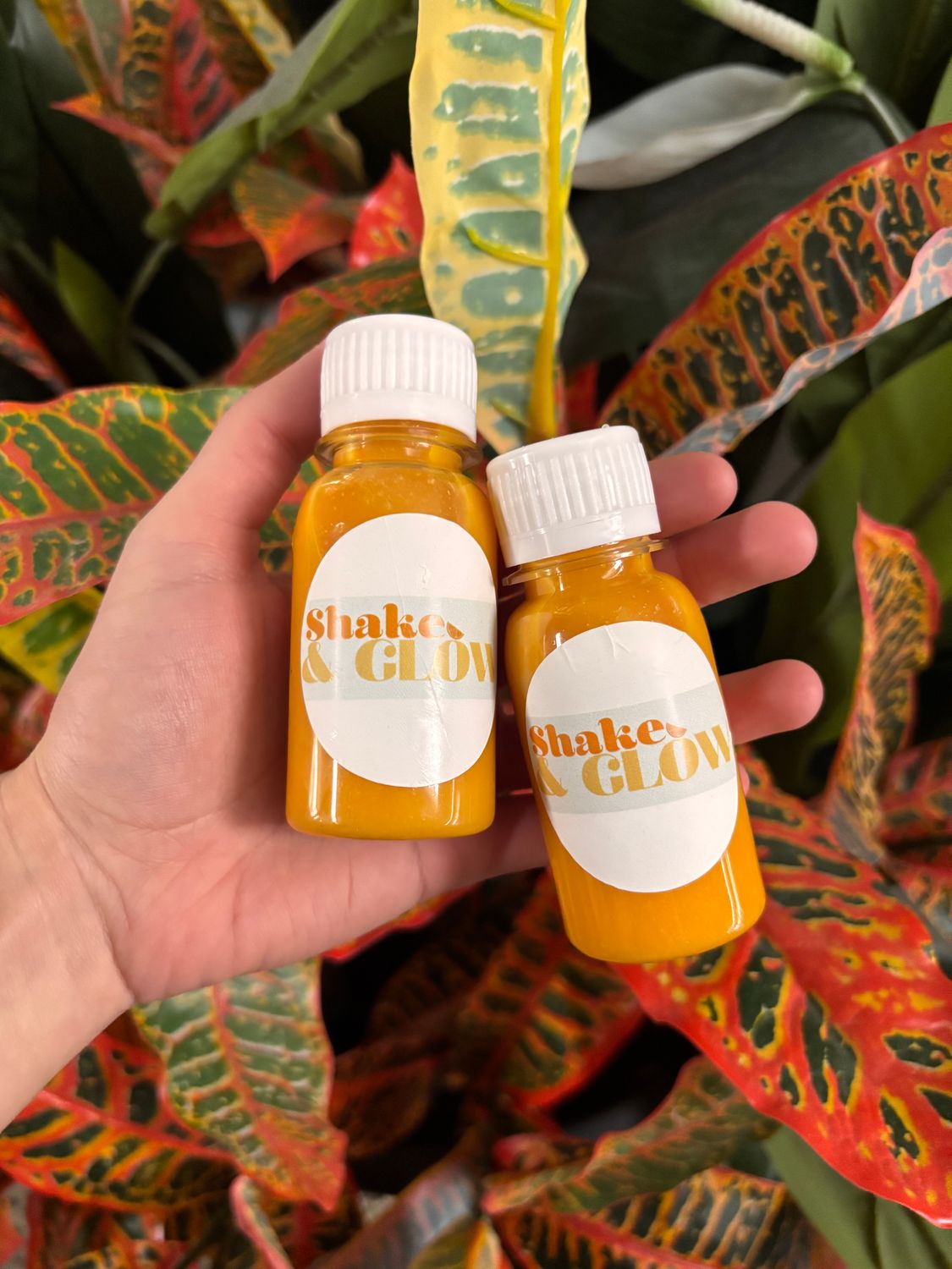HEALTH AND IMMUNITY JUICE SHOT