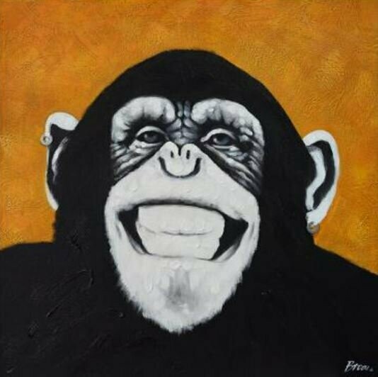 Hand Painted Grinning Chimp Canvas