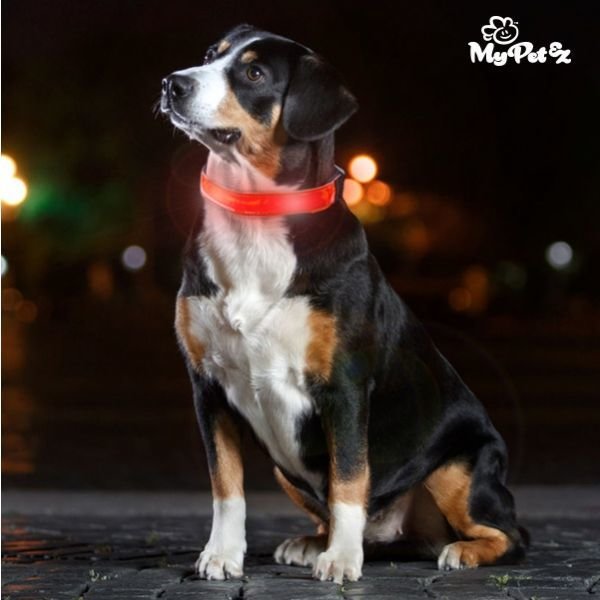 My Pet Led Collar