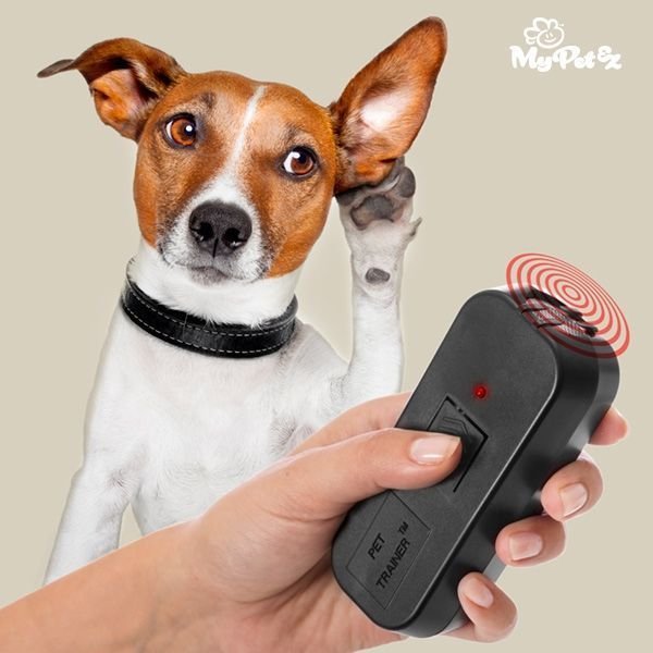 My Pet Trainer