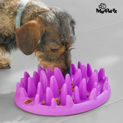 My Pet  Interactive Slow Food Bowl