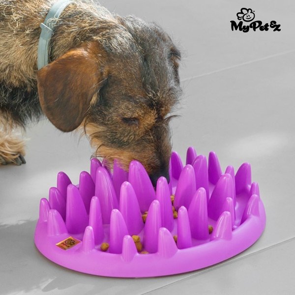 My Pet  Interactive Slow Food Bowl
