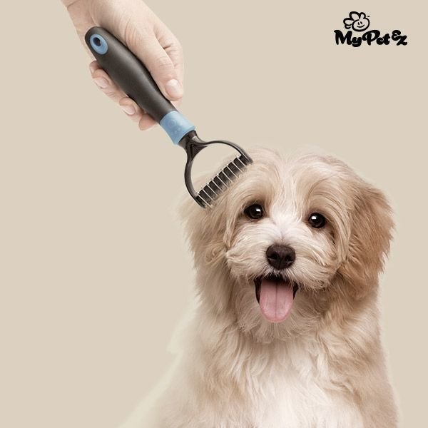 My Pet  Autumn Brush