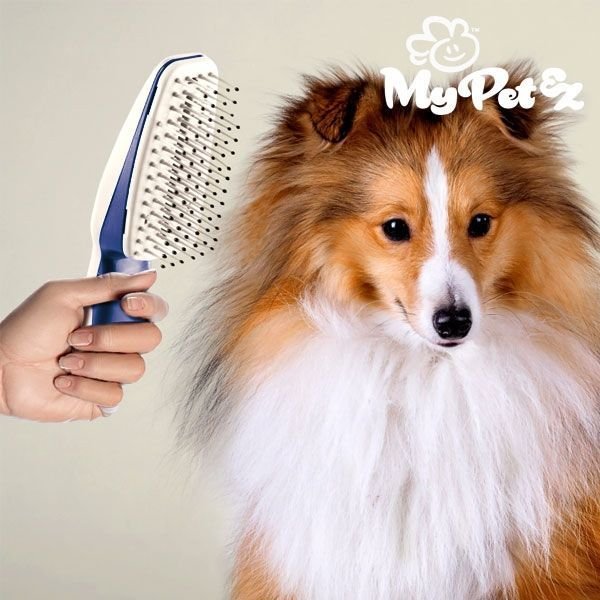 My Pet  Groom