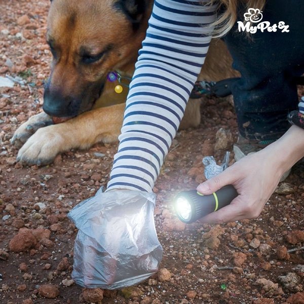 MyPet Poop Lantern ( Poop Bag Holder and Flashlight )