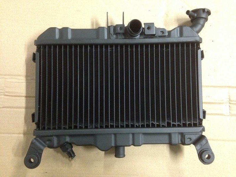 Honda NS400R 85-87 Radiator Recore Service