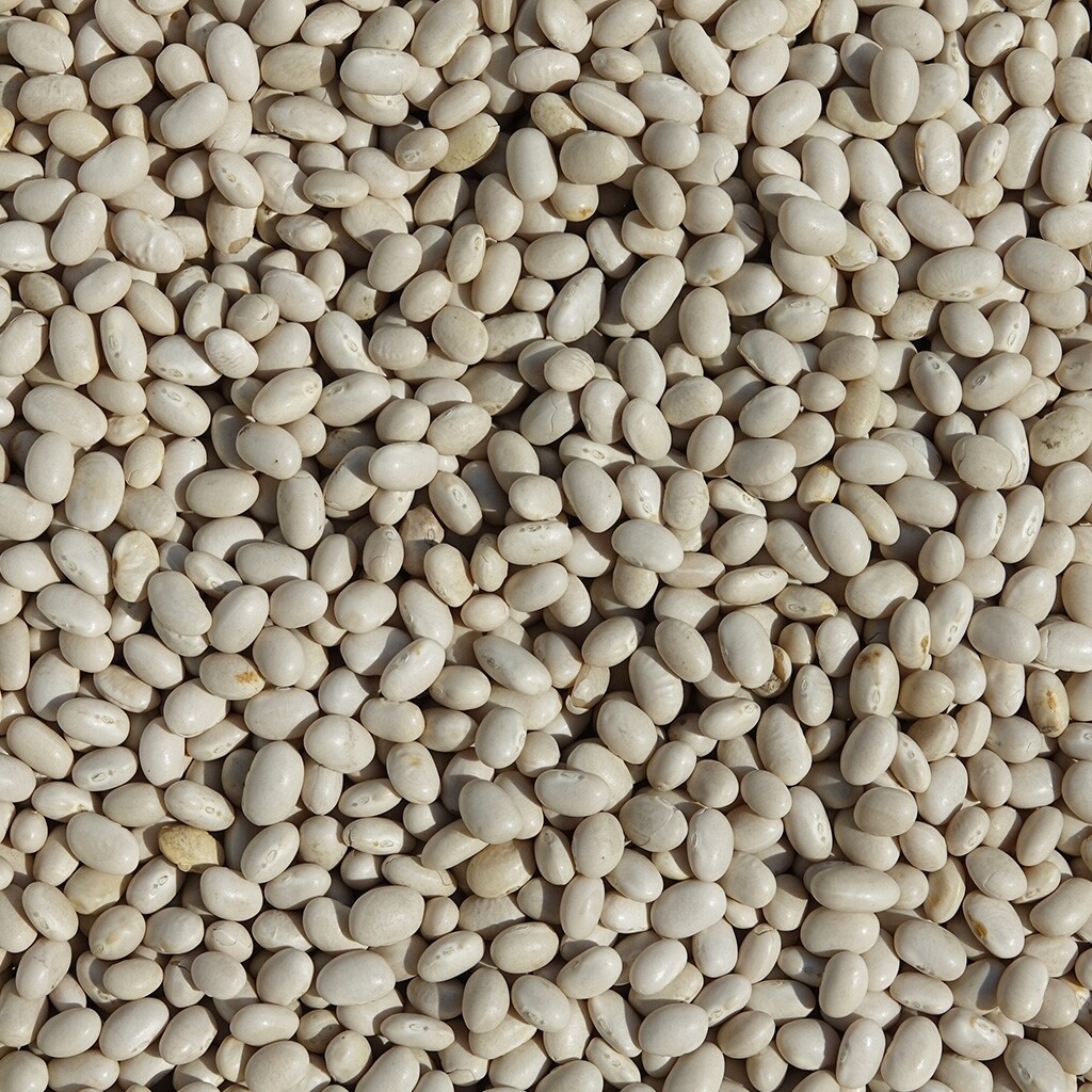 Fagioli tondini (prezzo al kg)