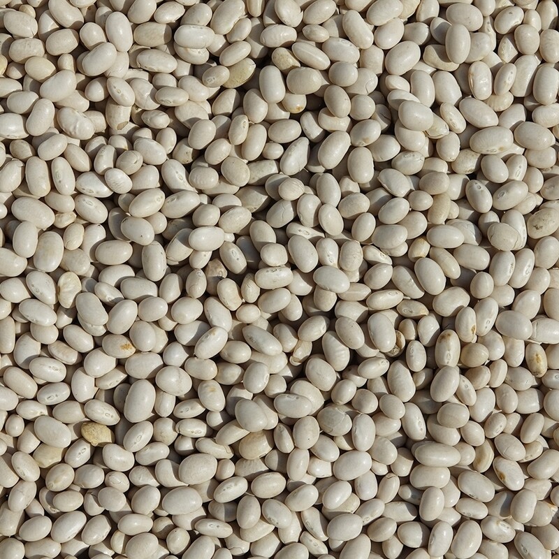 Fagioli tondini (prezzo al kg)