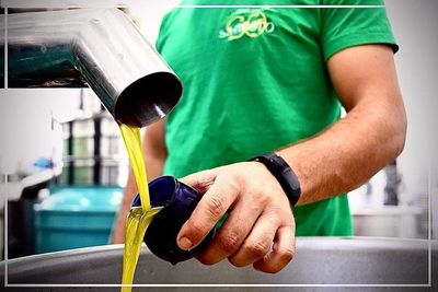 Olio Extra Vergine di Oliva