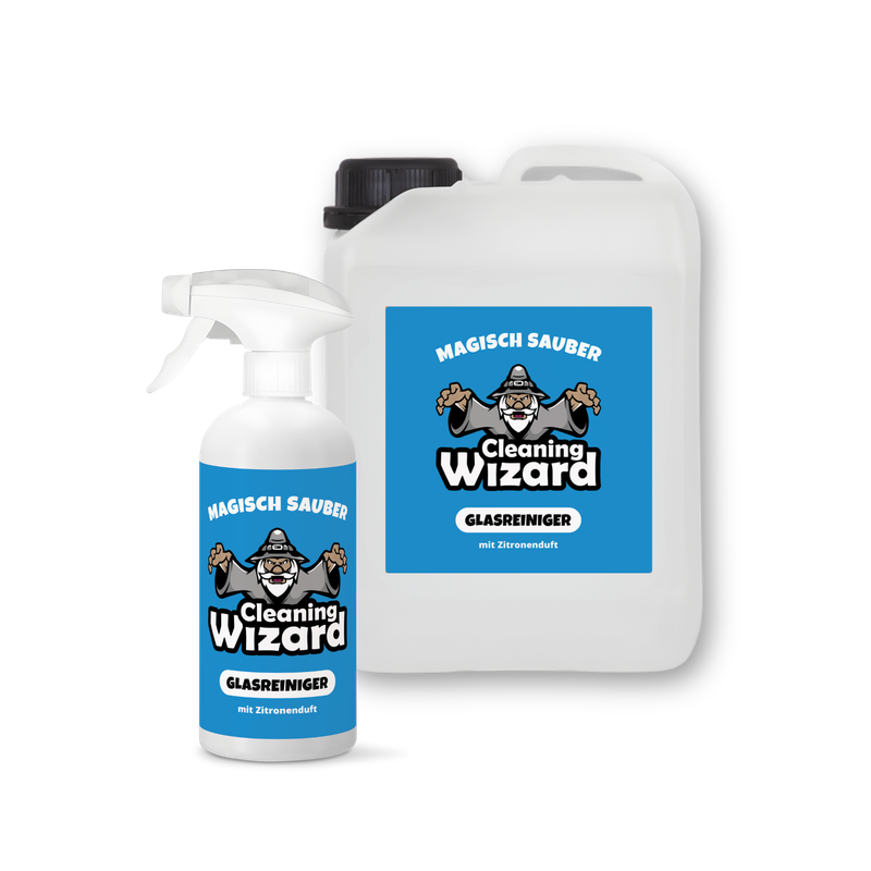CLEANING WIZARD Glasreiniger Set