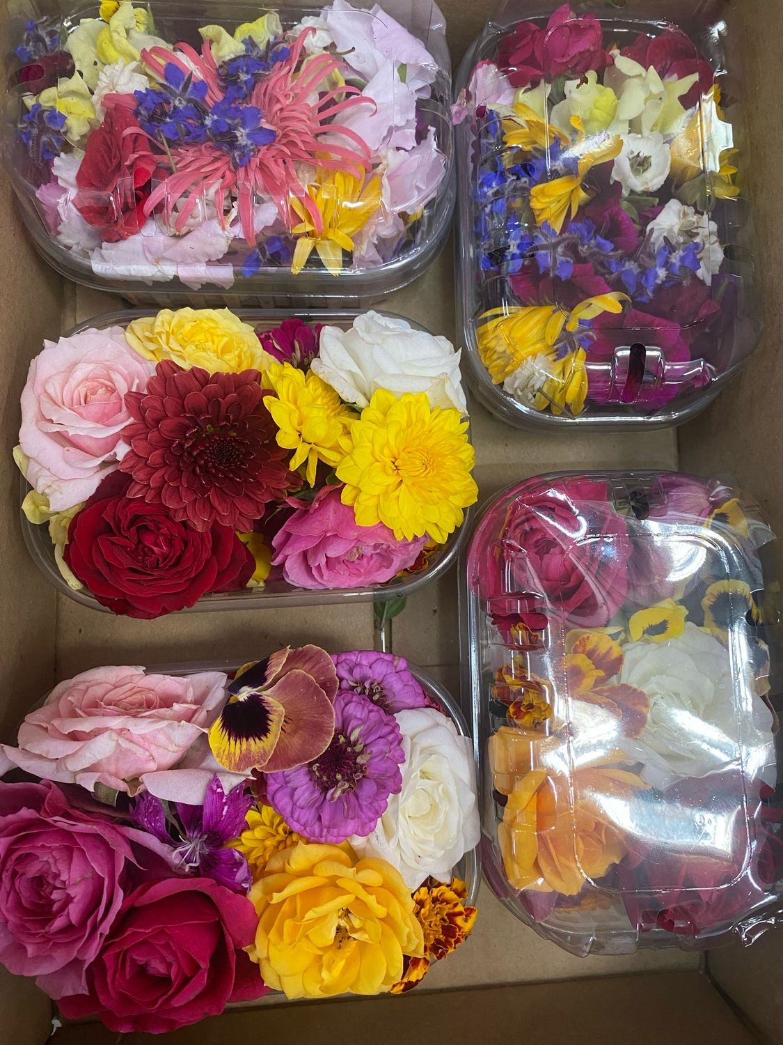 Fleurs comestibles