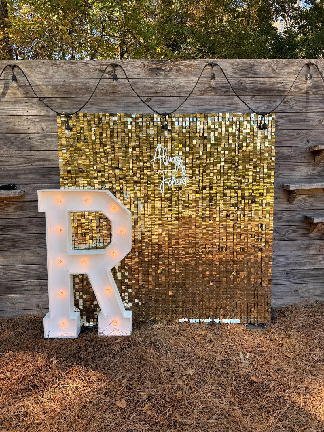 Forever in Gold Photo Moment Forever in Gold Photo Moment