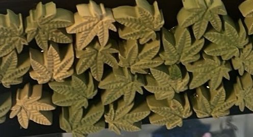 Cannabis Leaf Magnet Plaster • ¾&quot; • Neodymium