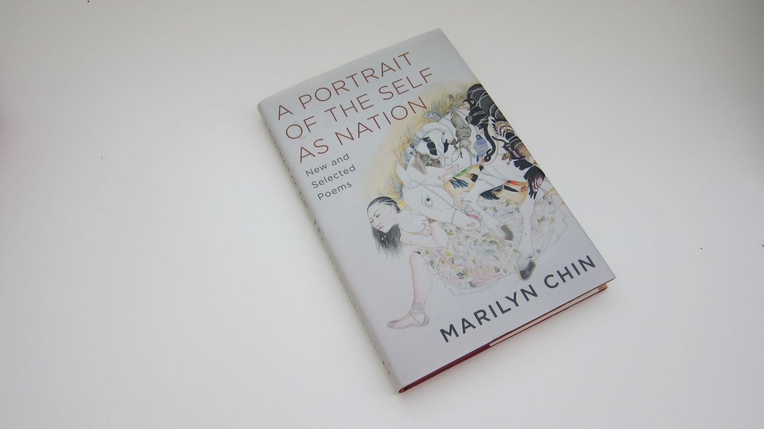 A Portrait of the Self as Nation: New and Selected Poems Hardcover – October 16, 2018