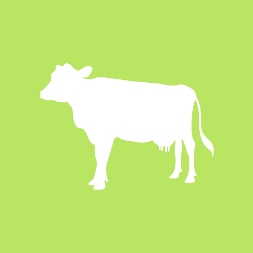 Émincé de boeuf à l'orange