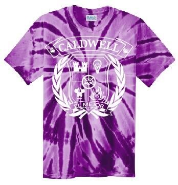 Caldwell House Tee - Spiral Tie-Dye Purple