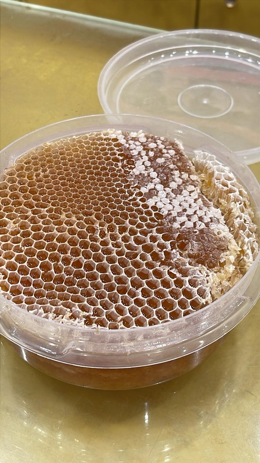 قرص شمع العسل