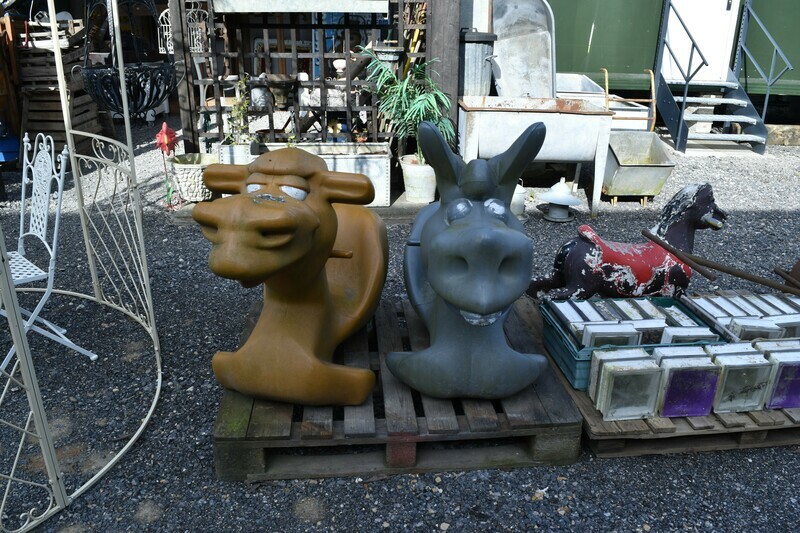 Donkey and Camel Amusement Rides
