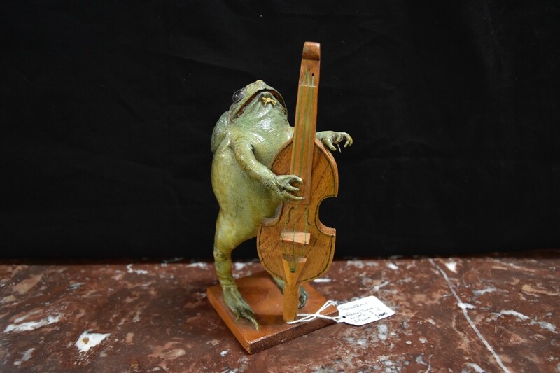 Taxidermy Frog with Cello