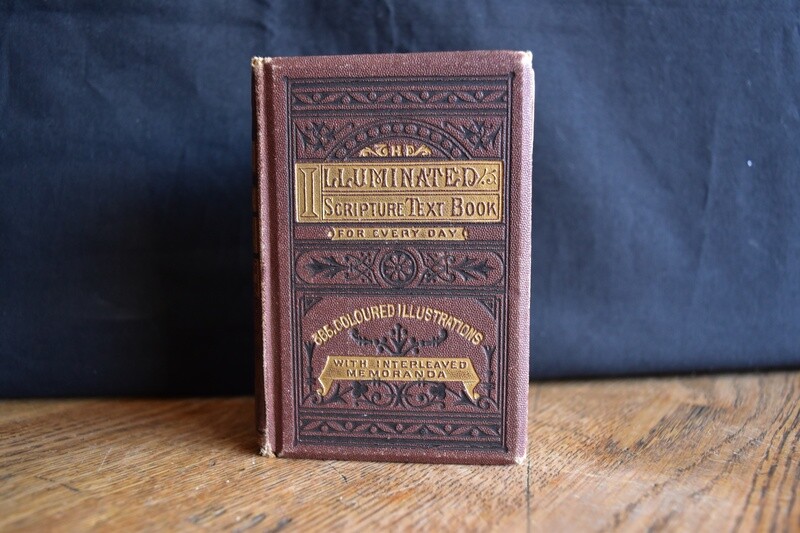 Edmund Ewans Illuminated Scripture Book