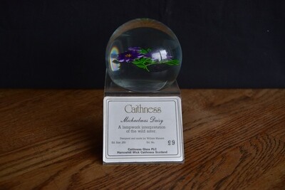 Caithness Paperweight by William Manson Ltd. Ed.