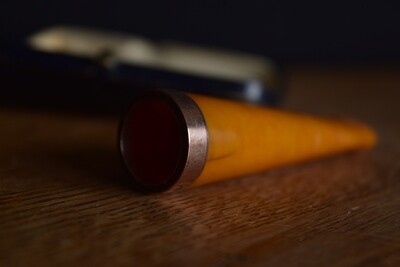 Cased 9ct Gold Tipped & Amber Cigar Holder