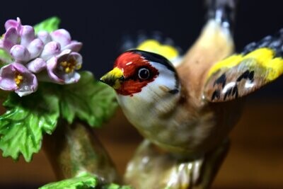 Crown Staffordshire Gold Finch