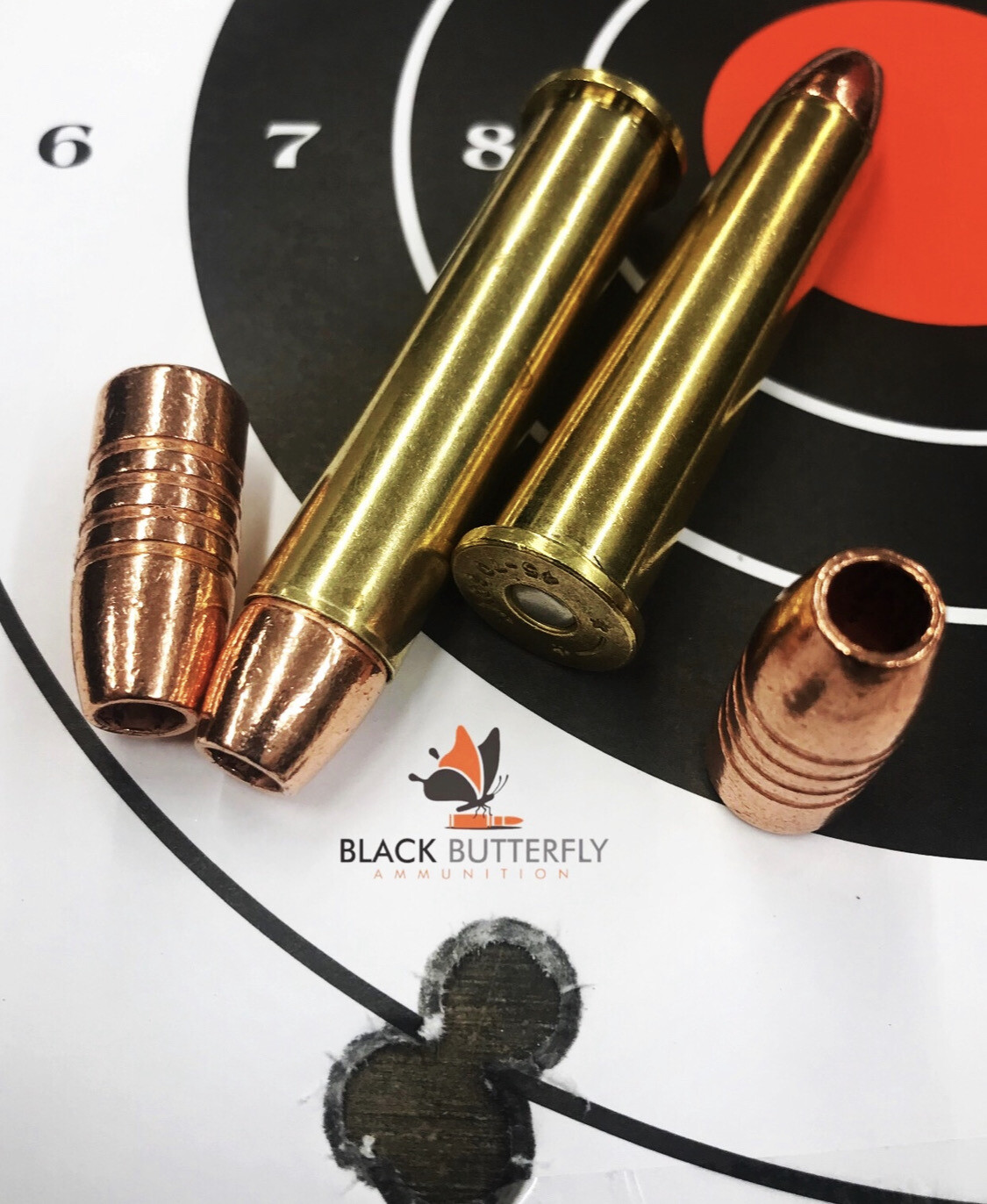 Black Butterfly Ammunition Premium, 45-70 Government, 300 gr, 5 Rounds, Barnes TSX FN &quot;Iron Jacket&quot; (SAMPLE PACK)