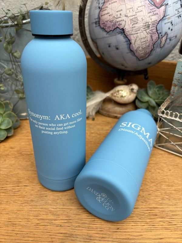 500ml Stainless Steel Water Bottle - Baby Blue - SIGMA.
