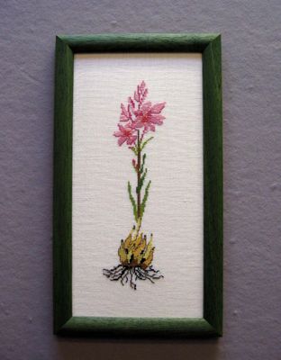 Lily (Lilie) by Oehlenschläger OOE-Design Counted Cross Stitch kit