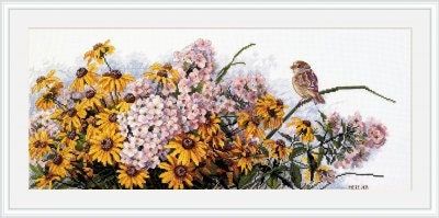 Black Eyed Susans and Phlox by Merejka 2022 counted cross stitch kit. Wonderful Summer flowers