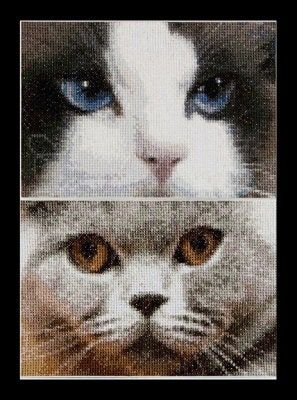 Cats - Smokey &amp; Blu by Thea Gouverneur Counted Cross Stitch kit for cat lovers