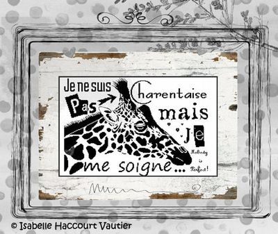 Nobody is perfect by Isabelle Haccourt Vautier. Collection Broide du Noir. Printed cross stich pattern