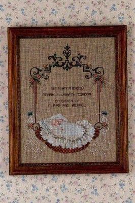 Baby in a Basket by Told in a Garden. Designer Marilyn Leavitt-Imblum Counted cross stitch pattern